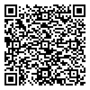 微信麦迪逊KTV  限时秒杀小程序游戏二维码