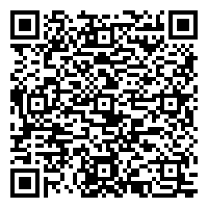 微信玩转双11小程序游戏二维码