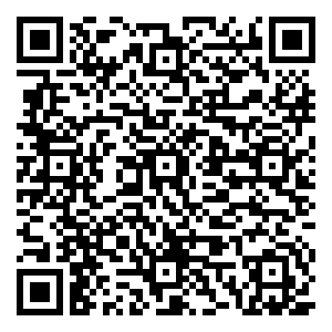 微信抓饼攻略小程序游戏二维码