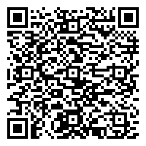 微信追踪圣诞美人小程序游戏二维码