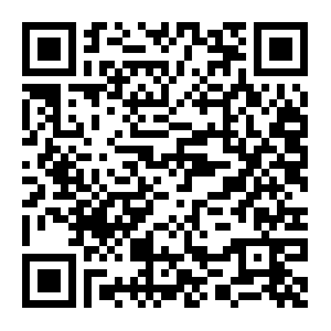 微信投票，2018，新语新愿投票案例二维码