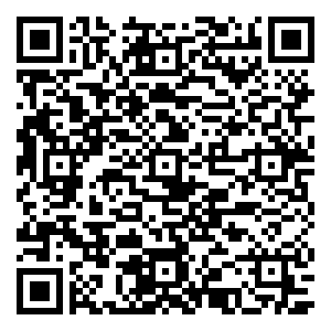 微信艾芈双十一大砍价小程序游戏二维码