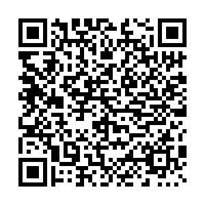 微信投票，红树林-猪小明图画大赛投票案例二维码