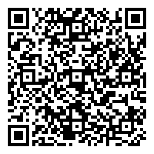 微信西夏店疯狂“鼠”钱小程序游戏二维码