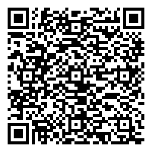 微信机智砖家 粽横端午小程序游戏二维码
