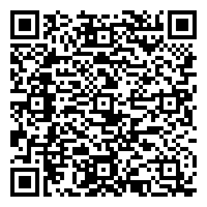 微信心连心七夕疯抢爱鸽基金小程序游戏二维码