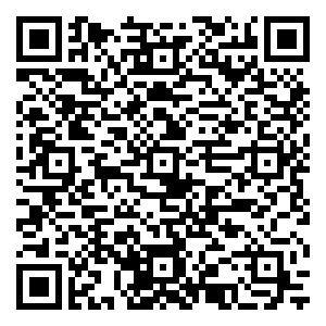 微信奔月计划小程序游戏二维码