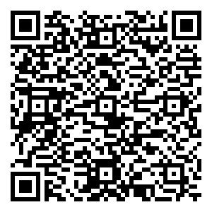 微信Free追踪圣美人-青岛小程序游戏二维码