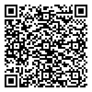 微信520老司机都在玩这个小程序游戏二维码