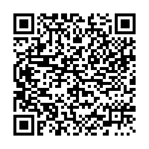 微信投票，#长大后我就成了你#投票案例二维码