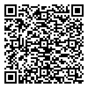 微信浓情端午，“粽”情一跃小程序游戏二维码