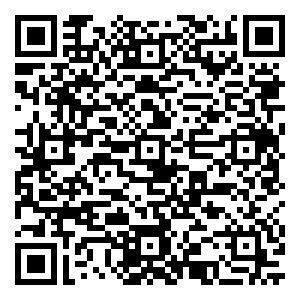 微信FREE飞 满血复活（沈阳）小程序游戏二维码