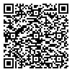 微信“粽”情端午娃娃机小程序游戏二维码