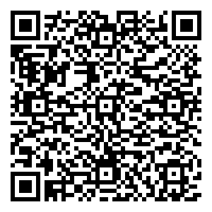 微信大楼家电 砍价一裸到底小程序游戏二维码