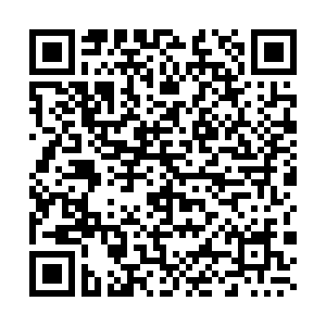 微信投票，杉杉in象摄影大赛投票案例二维码