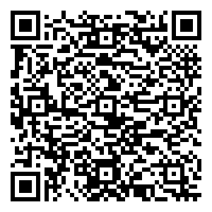 微信阿拉小优李汉楚侯店疯狂砍价小程序游戏二维码