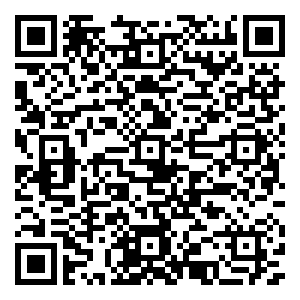 微信Free追踪圣美人-合肥小程序游戏二维码