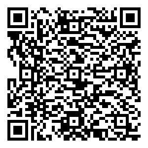 微信亲格谜上元宵共抗疫小程序游戏二维码