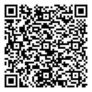 微信Free 一起飞一起玩（太原）小程序游戏二维码