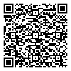 微信砍价得粽小程序游戏二维码