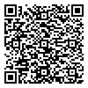 微信追踪圣诞美人小程序游戏二维码