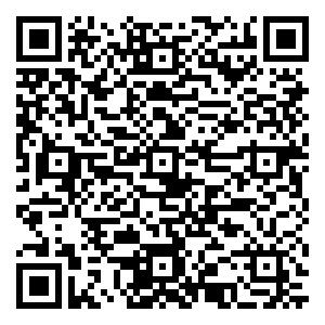 微信现代卓越圣诞优惠许愿树小程序游戏二维码