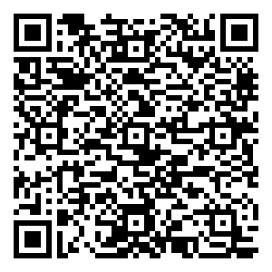 微信双11任性摇红包小程序游戏二维码