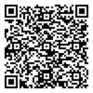 微信奔月计划小程序游戏二维码