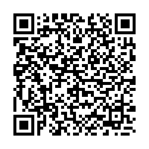 微信投票，BBG&童泰——我是小诸葛投票案例二维码