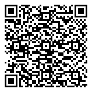 微信粽享端午 爸气十足小程序游戏二维码