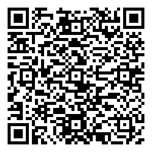 微信Free飞决胜点球赛小程序游戏二维码