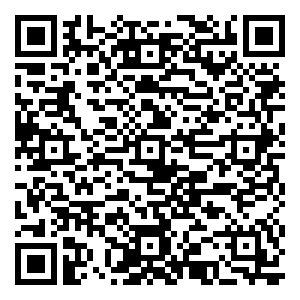 微信阿拉小优（卢集店）疯狂砍价小程序游戏二维码