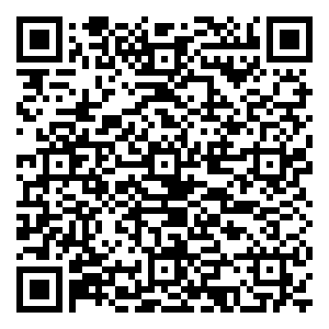 微信迈科龙｜接粽大赛小程序游戏二维码