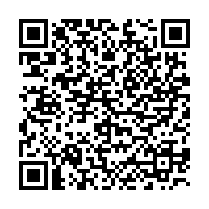 微信投票，繁花女神代言人投票案例二维码