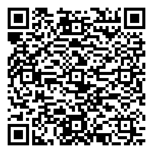 微信VMESHOU许愿树小程序游戏二维码