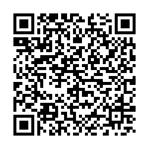 微信投票，天蒙山免费直升机创意植树之旅投票案例二维码