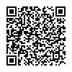 微信投票，新洲“舌尖上的特色”美食宣传大赛投票案例二维码