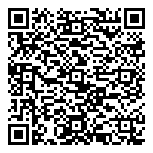 微信114家青海—任性摇红包小程序游戏二维码