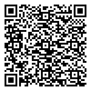 微信接粽得现金红包小程序游戏二维码