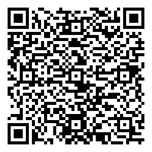 微信Free 一起飞一起玩（石家庄）小程序游戏二维码