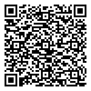 微信民投接粽大赛小程序游戏二维码