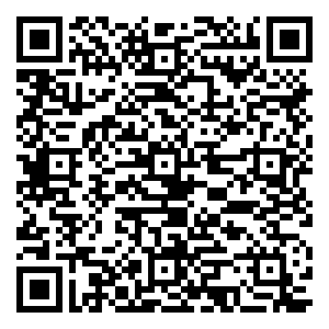 微信雁城国际公馆11.11脱单索吻小程序游戏二维码
