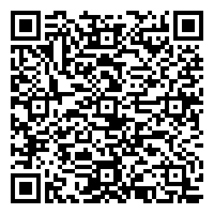 微信追踪圣诞美人小程序游戏二维码