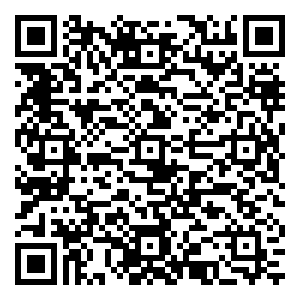 微信限时秒（元旦）小程序游戏二维码