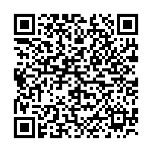 微信投票，阜职最美女神投票案例二维码