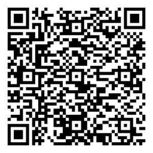 微信抓饼攻略小程序游戏二维码