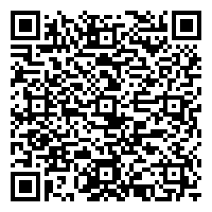 微信整点摇钱树小程序游戏二维码