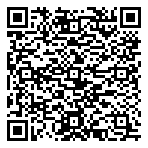 微信抓饼攻略小程序游戏二维码