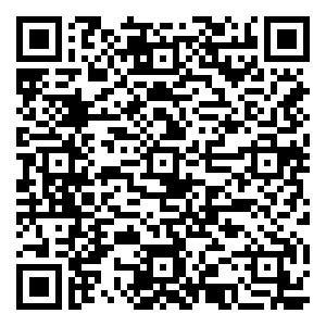 微信Free·飞追踪圣美人小程序游戏二维码