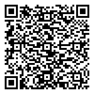 微信抓饼攻略小程序游戏二维码